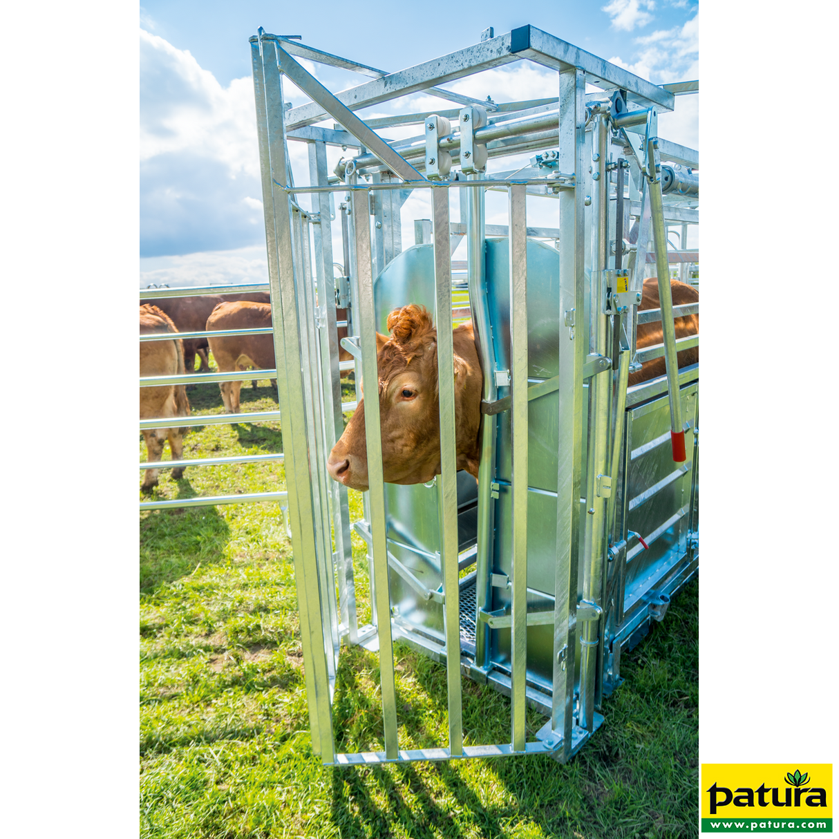 Patura - Behandlungsstand A8000 Kaiserschnitt mit Seitenverengung, Heckschiebetüre - 302810