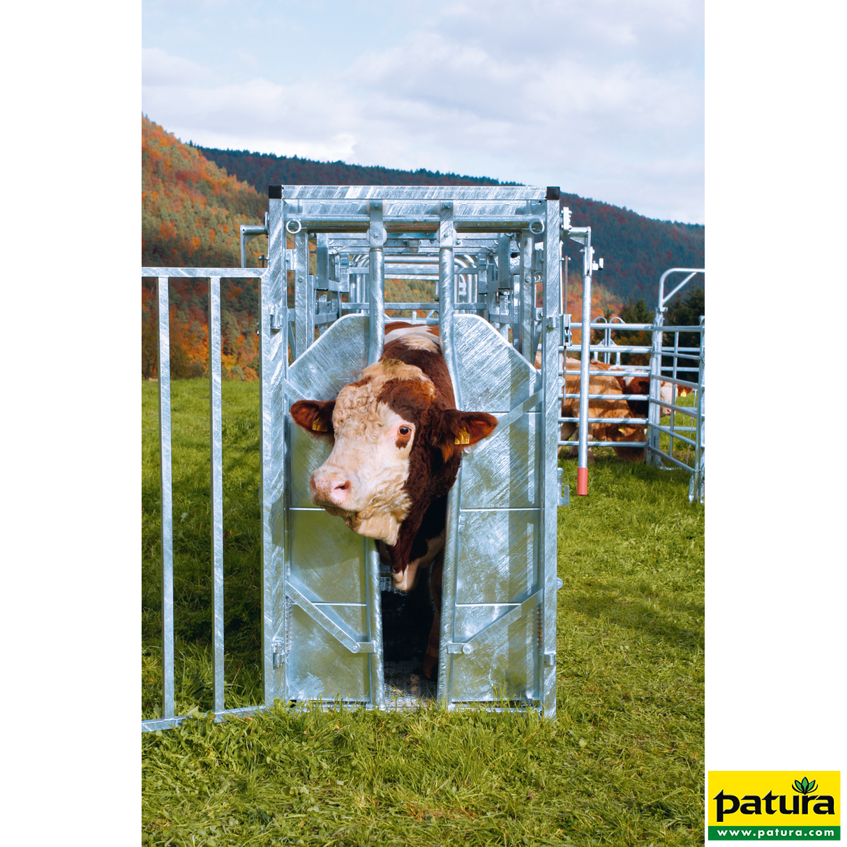 Patura - Behandlungsstand A8000 Kaiserschnitt mit Seitenverengung, Heckschiebetüre - 302810