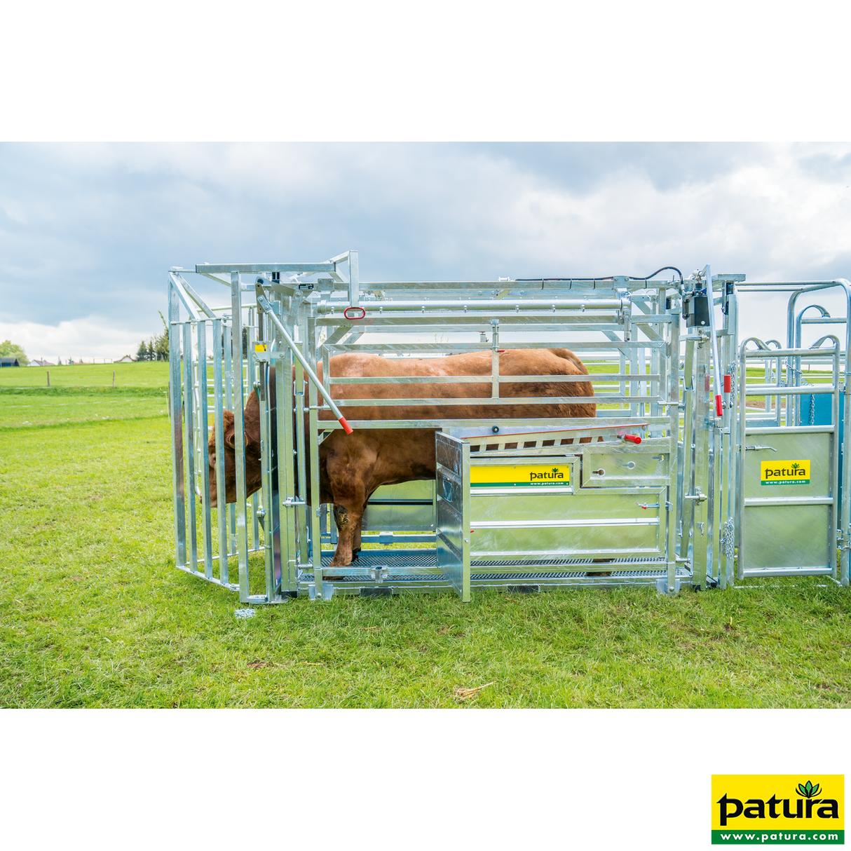 Patura - Behandlungsstand A8000 Kaiserschnitt mit Seitenverengung, Heckschiebetüre - 302810