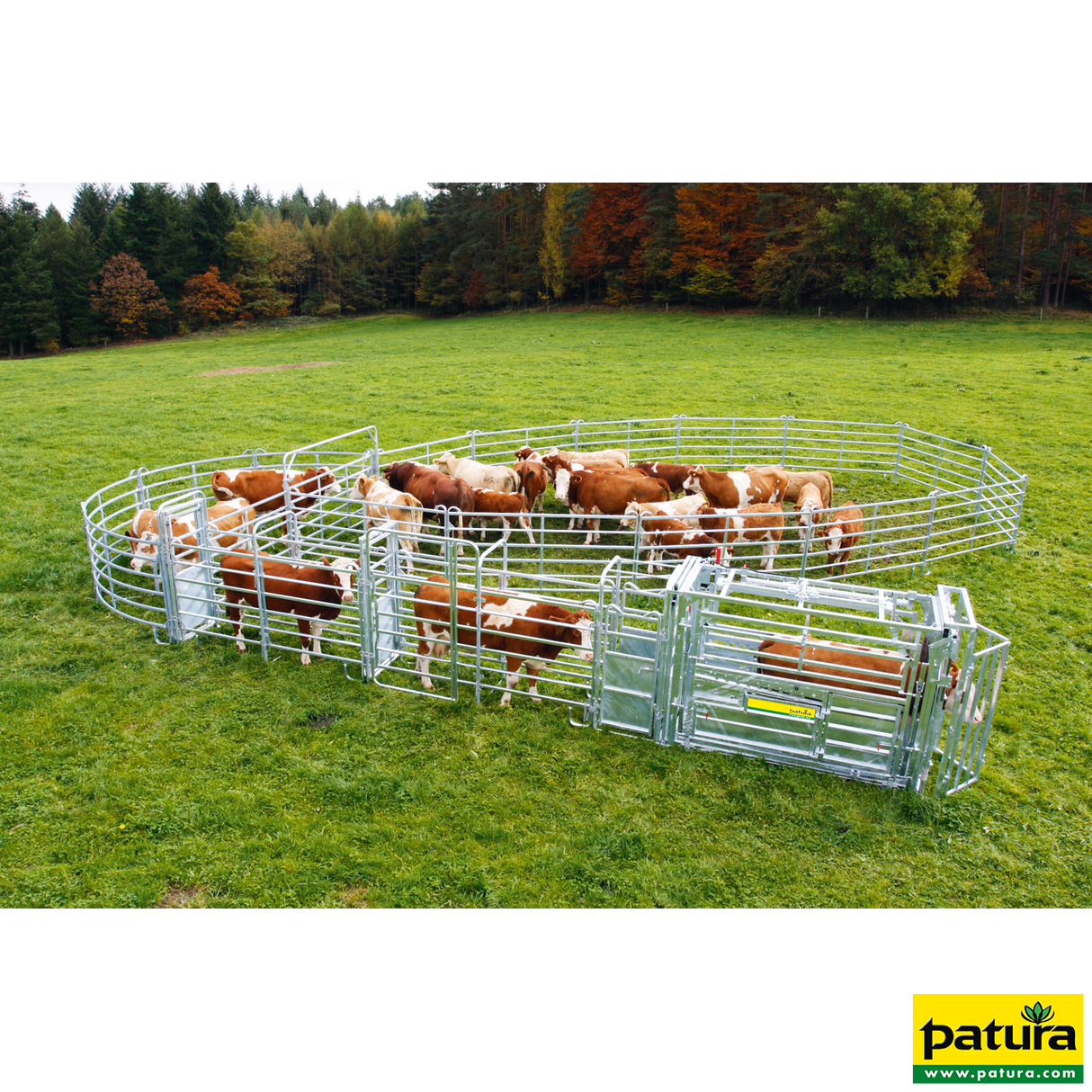 Patura - Behandlungsstand A8000 Kaiserschnitt mit Seitenverengung, Heckschiebetüre - 302810