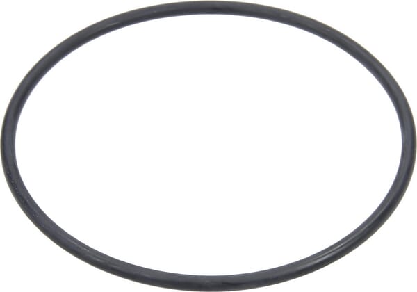 Arag O-Ring für Kugel 2" 318100040