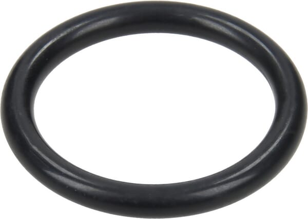 AR O-Ring 31,5x4,5 320030