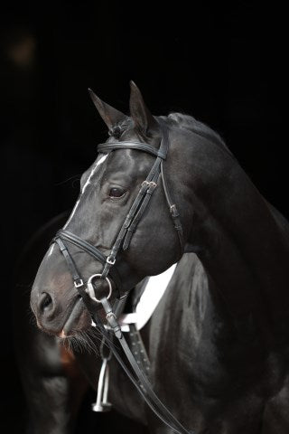 Kerbl Trensen-Zaum Standard Leder für Vollblut, schwarz 32171