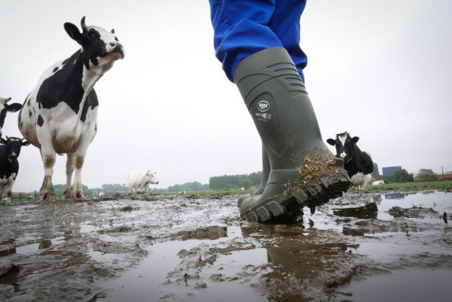 Bekina Steplite XCI Winter Gr. 43, Sicherheitsstiefel S5 34347