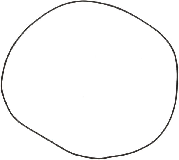 Landini O-Ring 3545945M1