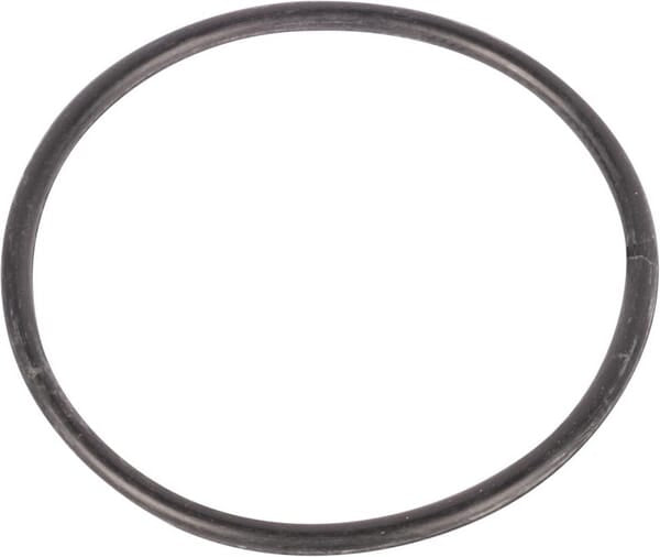 AGCO O-ring 366798X1