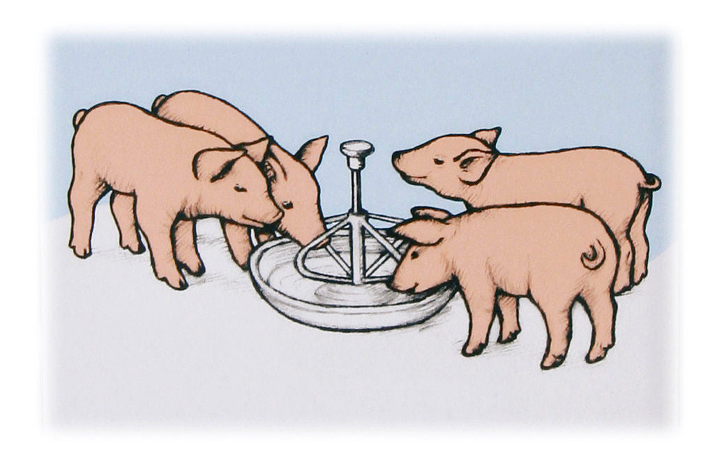 Kerbl Ferkelschale aus Edelstahl 2 l 222854