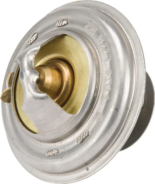 AGCO Thermostat 4224624M1