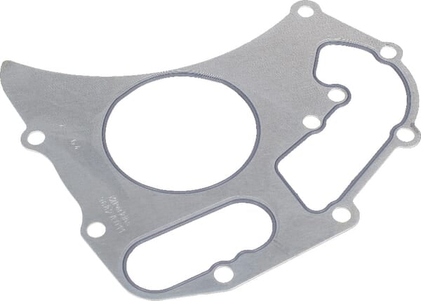 AGCO Wasserpumpendichtung 4224960M1