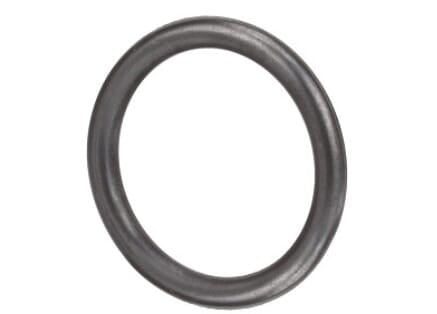 FPT Industrial O-Ring - 1 Stück - 4890926FPT