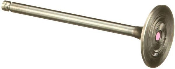 FPT Industrial Einlassventil STD - 1 Stück - 4895187FPT