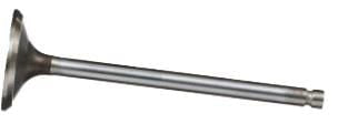 FPT Industrial Auslassventil - 1 Stück - 4895188FPT