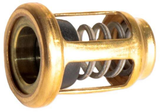 FPT Industrial Öldruckventil - 1 Stück - 4896410FPT