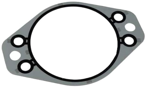 FPT Industrial Dichtung - 1 Stück - 4896897FPT