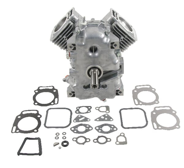 Briggs & Stratton Rumpfmotor Modell 30 vertik. 494057