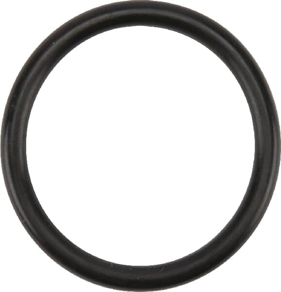 Birchmeier O-Ring 31,34 x 3,53 50117062
