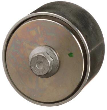 FPT Industrial Riemenscheibe - 1 Stück - 504078065FPT