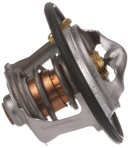 FPT Industrial Thermostat - 1 Stück - 504384724FPT