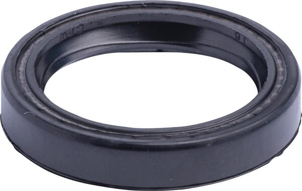 New Holland / Case DICHTUNG - 2 STÜCK 5106073 original CNH Ersatzteil