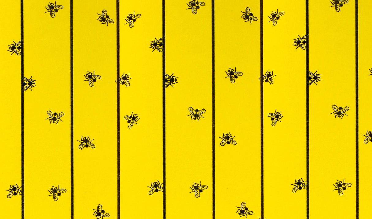 Kerbl Fliegenfalle FlyMaster 6 Stk., 595x300 mm 299842