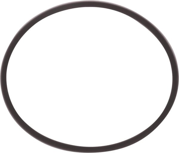 New Holland / Case O-RING - 2 STÜCK 5195402 original CNH Ersatzteil