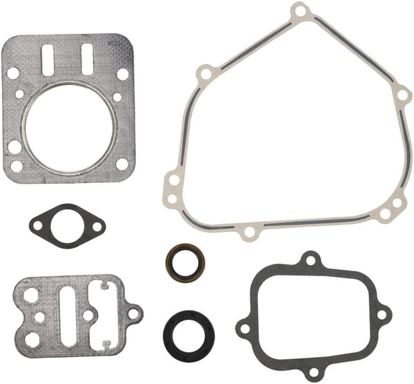 Briggs & Stratton Motordichtungssatz 555631