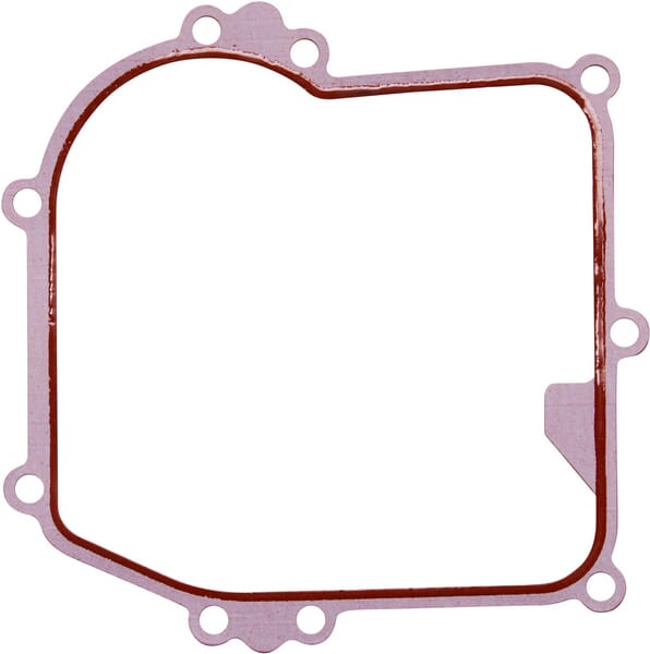 Crankcase gasket
