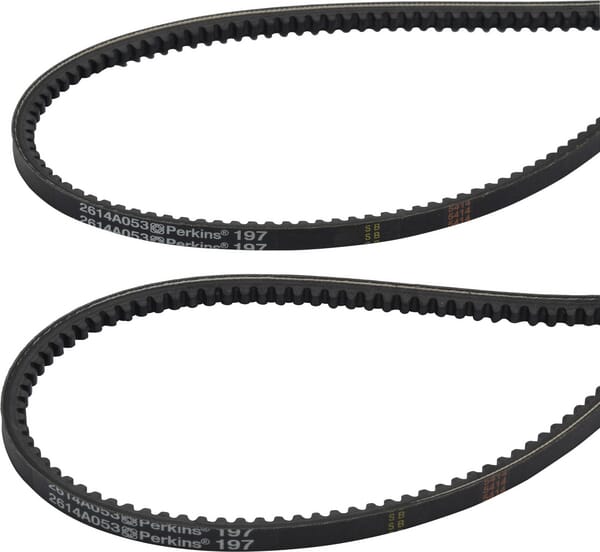 Landini Riemen 6677990A1