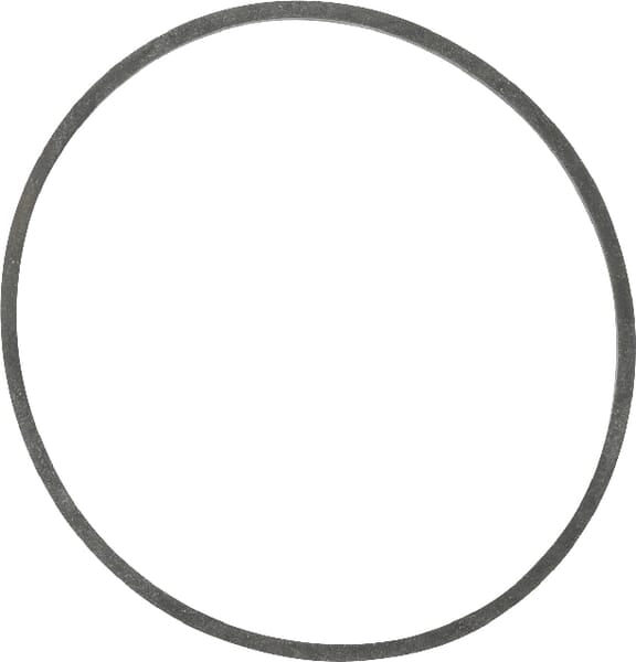 Briggs & Stratton Schwimmergehäusedichtung 694920