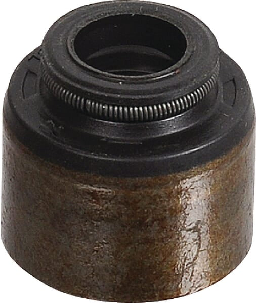 Briggs & Stratton Abdichtung Ventil 795440