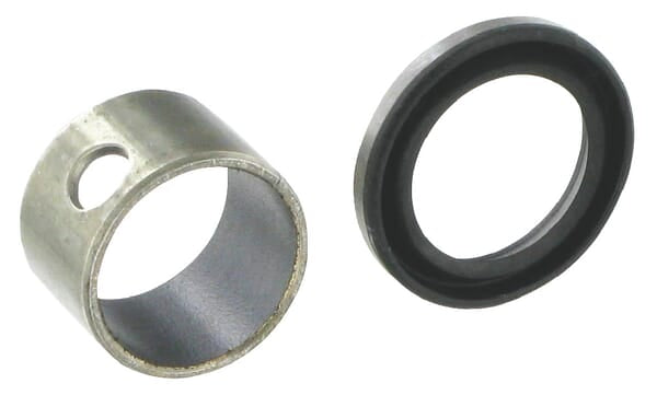Bearing with seal