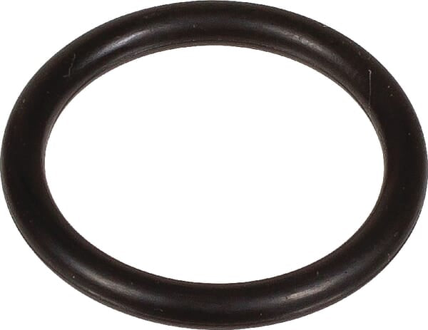 Bertolini O-Ring 2,62 x 18,72 803189002