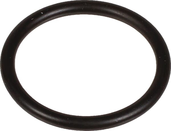 Bertolini O-Ring 2,62 x 23,81 803204002