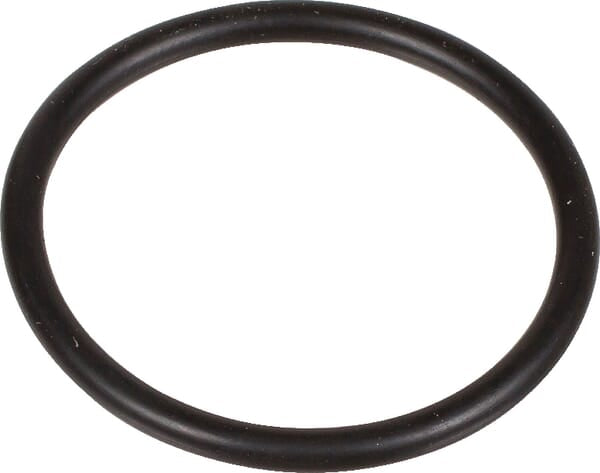 Bertolini O-Ring 2,62 x 29,82 - 1 Stück - 803207002