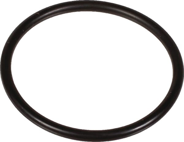 Bertolini O-Ring 2,62 x 36,14 803208302