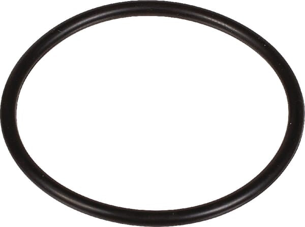 Bertolini O-Ring 2,62 x 40,95 803209102