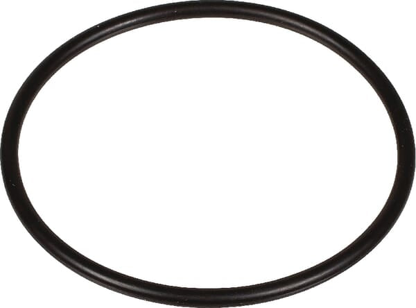 Bertolini O-Ring 2,62 x 50,47 803209802
