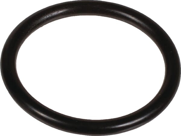 Bertolini O-Ring 3,53 x 31,34 803250002