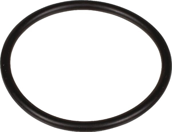 Bertolini O-Ring 3,53 x 49,2 - 1 Stück - 803270002
