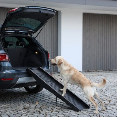 Kerbl Hunderampe für Kofferraum Auto faltbar, schwarz - 80572