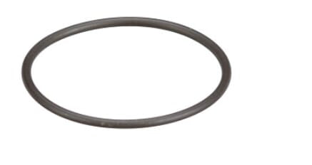 FPT Industrial Dichtring - 1 Stück - 8097979FPT