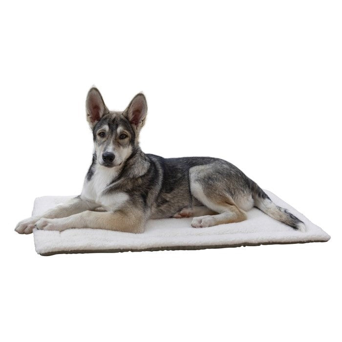 Kerbl Hunde Liegekissen Cleo, 58 x 36 cm - 82424