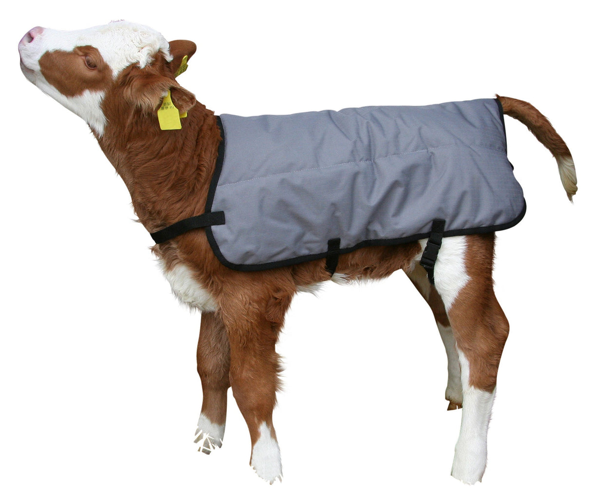 Kerbl Artikel 14155 im Online Shop kaufen