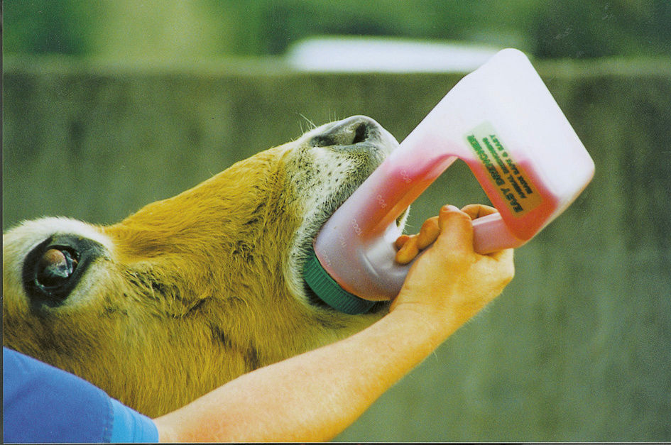 Kerbl Easy Drencher 1424