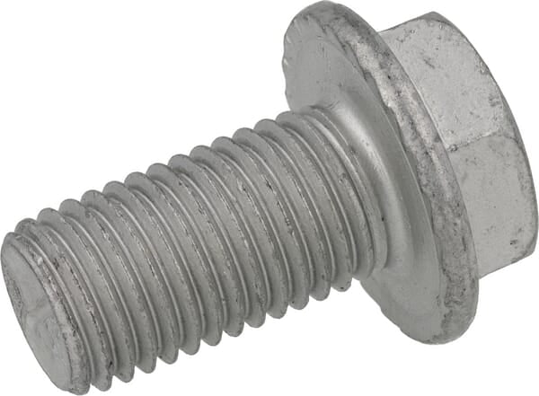 Trioliet Schraube M16X30 83931