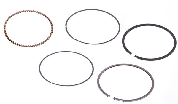 Briggs & Stratton Ringsatz 843953