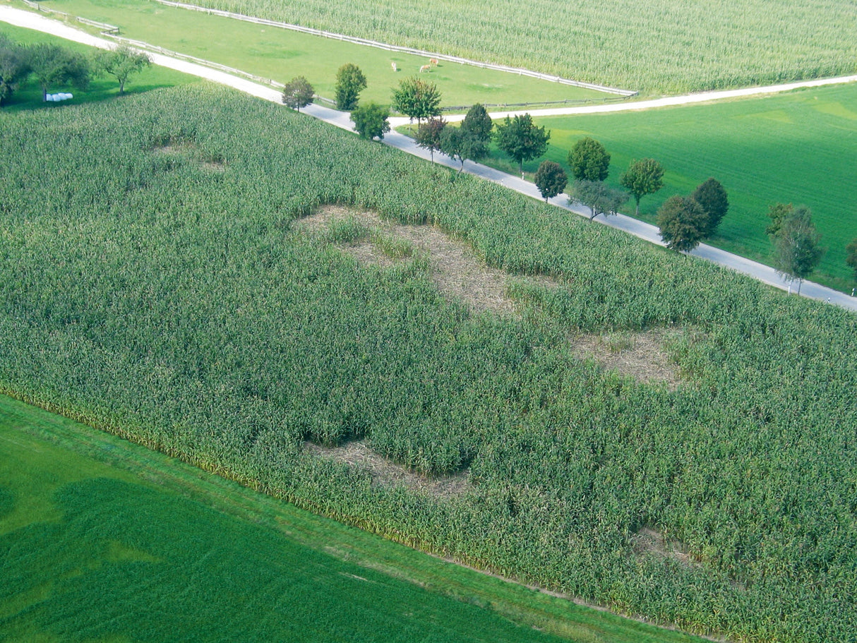AKO WildNet Wildschweinabwehrnetz Länge: 50 m 27215