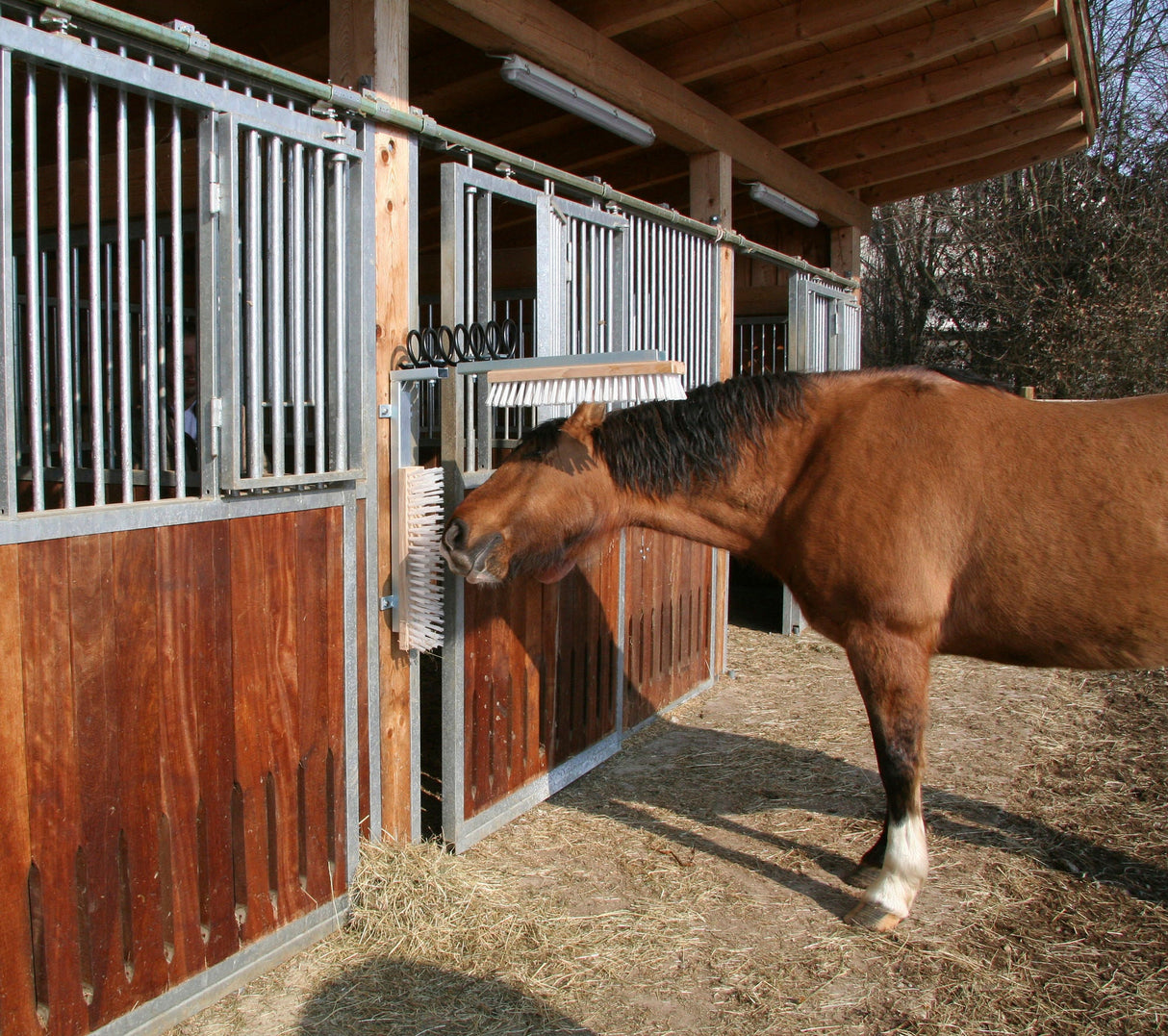 Kerbl Viehbürste TEXAS 29310