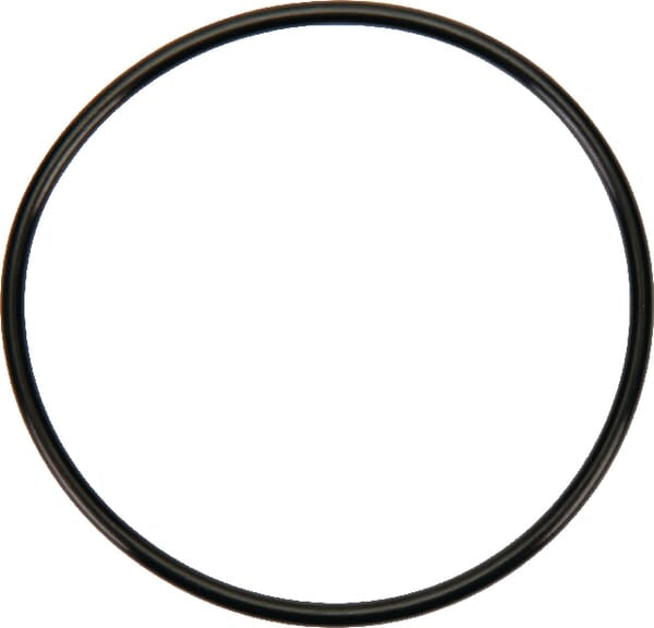 Original New Holland CNH Ersatzteil Nummer 86012299 O-RING