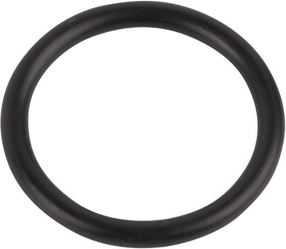 New Holland / Case O-RING - 2 STÜCK 86598102 original CNH Ersatzteil